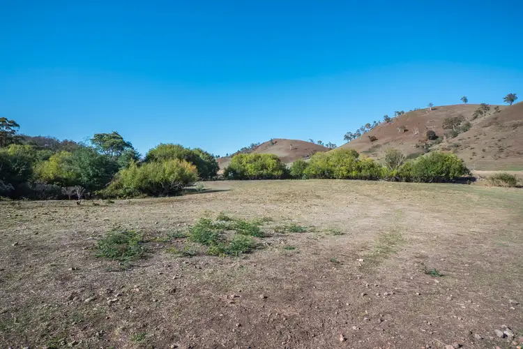 Main view of Homely land listing, Lot 1 Link Road, Colebrook TAS 7027
