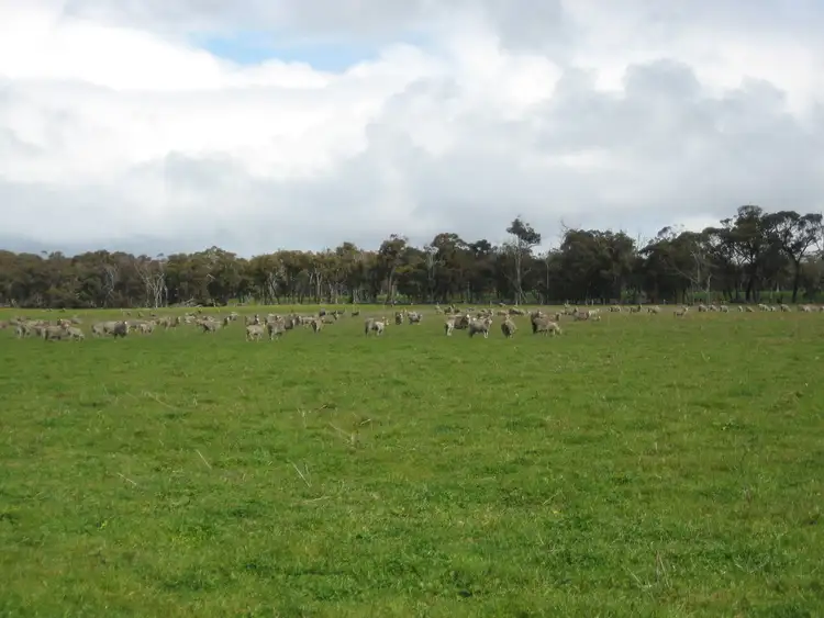 Fourth view of Homely rural property listing, Lots 234 & 235 Jellicoe Rd, Kendenup WA 6323
