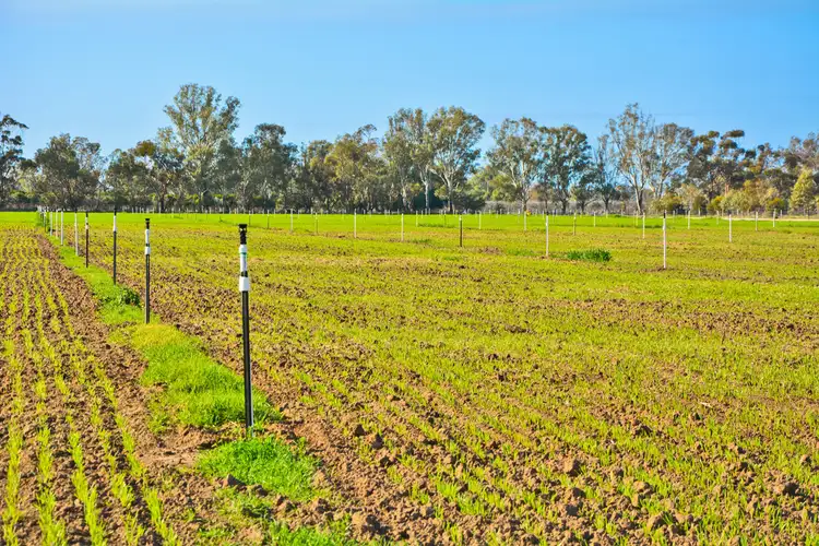 Sixth view of Homely land listing, 12 Bass Lane, Pomona NSW 2648