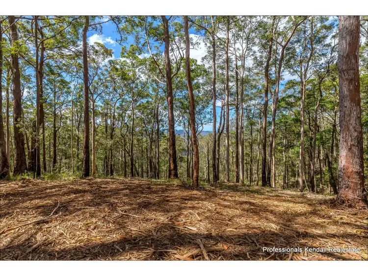 Fourth view of Homely land listing, Lot 4/106 Wongawallan Road, Tamborine Mountain QLD 4272