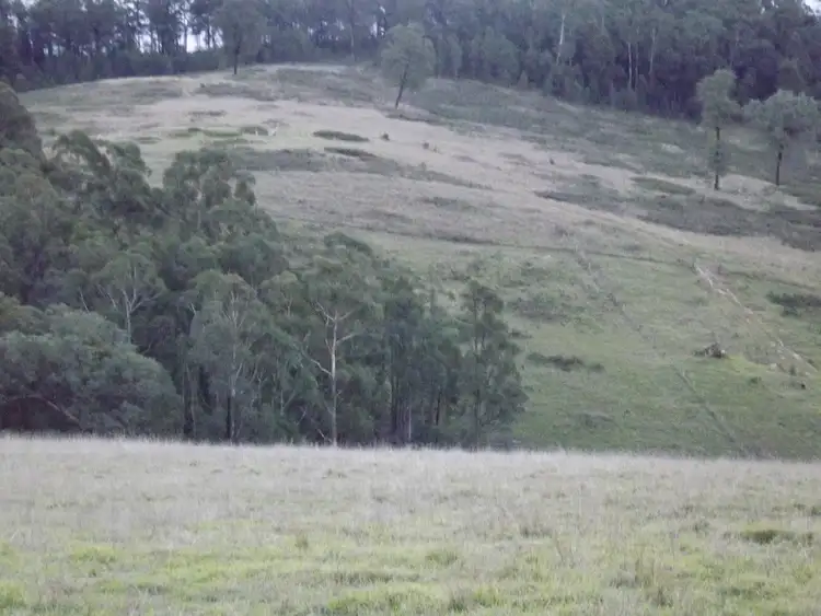 Third view of Homely rural property listing, 317 GARNETS TRACK / JARRAMOND, Orbost VIC 3888