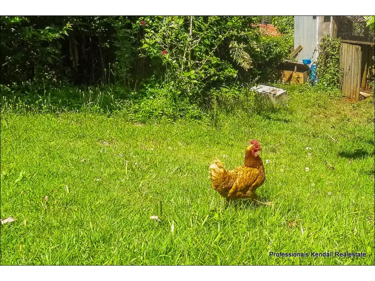 Fourth view of Homely rural property listing, 29 Kootenai Drive, Tamborine Mountain QLD 4272