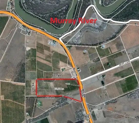 Third view of Homely rural property listing, 8609 Murray Valley Highway, Boundary Bend VIC 3599