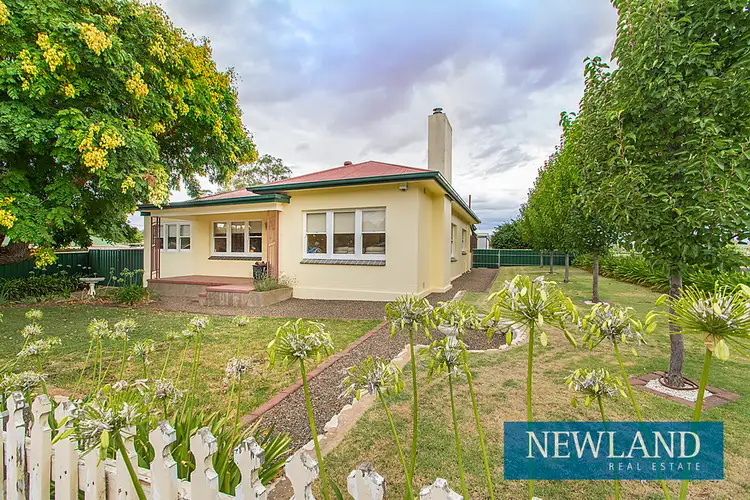 17 Park Road, Angaston SA 5353