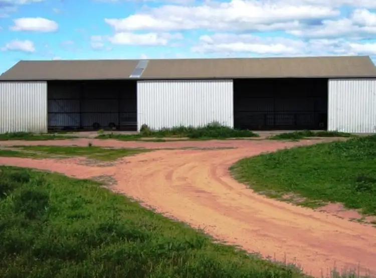 Fourth view of Homely rural property listing, Weetbix's Bennie Road, Wirrulla SA 5661