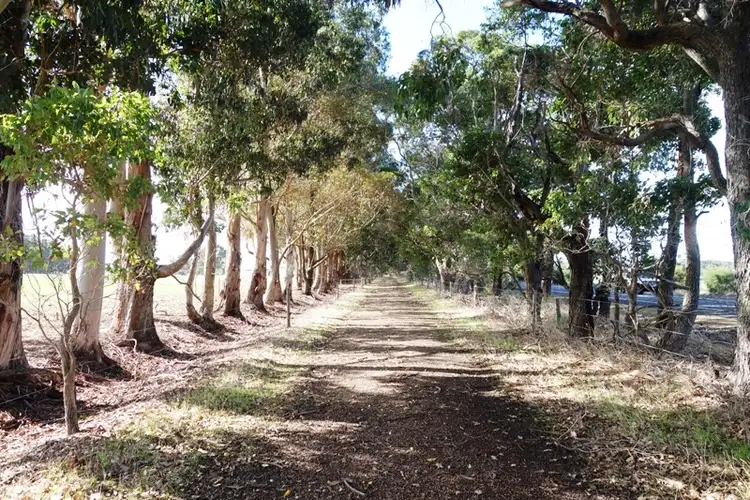 Lot 309 Bussell Highway, Cowaramup WA 6284