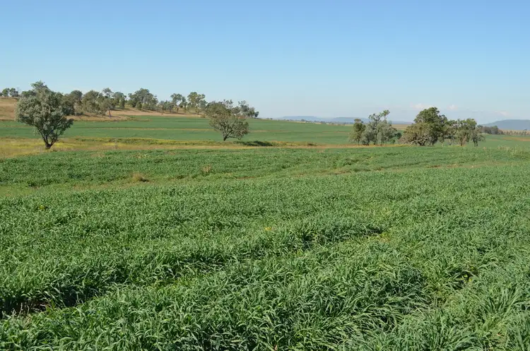 Fourth view of Homely rural property listing, 766 Umbiram Road, Umbiram QLD 4352