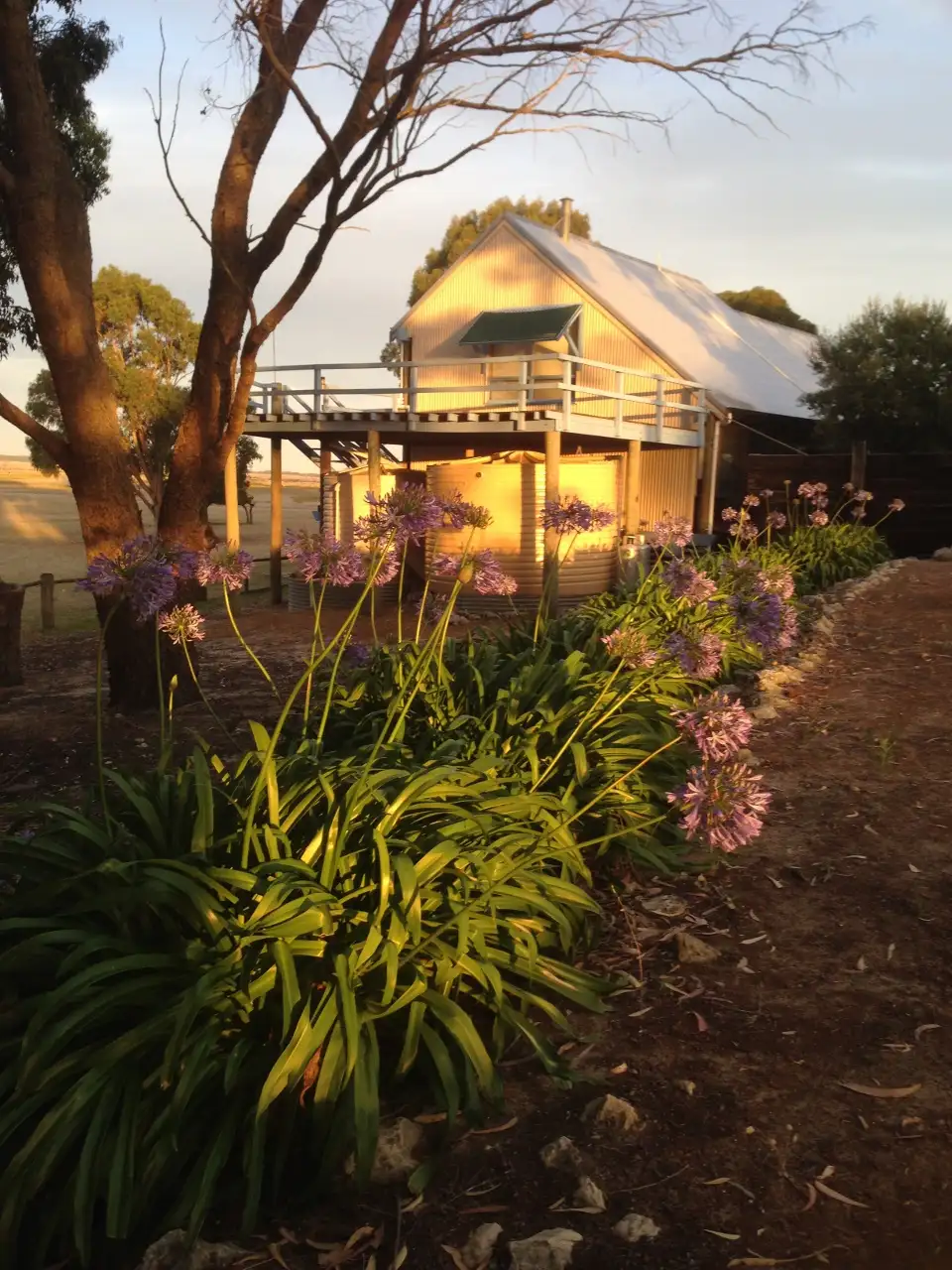 Main view of Homely rural property listing, Lot 7 Teale Road, Monjingup WA 6450