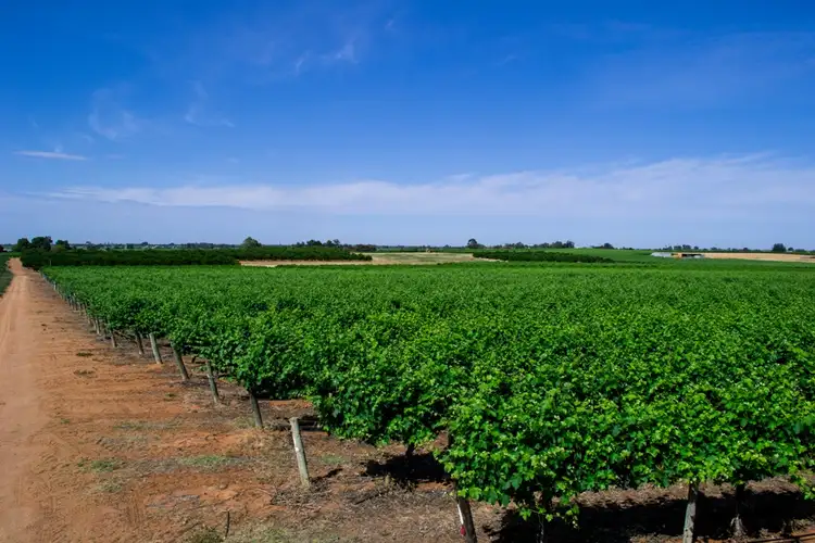 Second view of Homely land listing, - Derrick Road, Loxton SA 5333