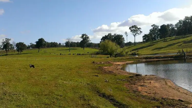 Fifth view of Homely rural property listing, 25270 South West Highway, Bridgetown WA 6255
