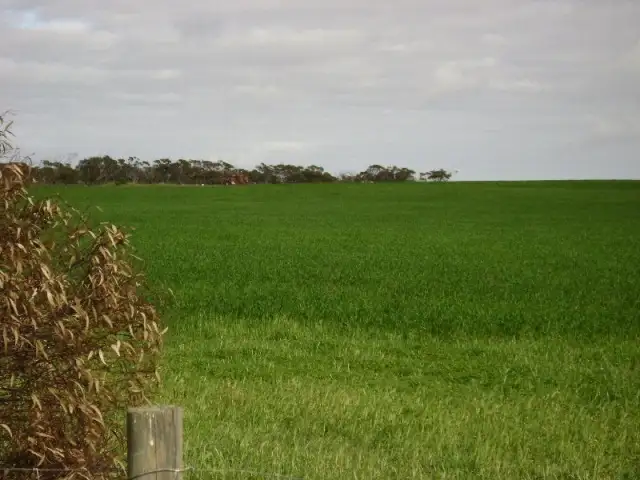 Main view of Homely rural property listing, . Lincoln Hwy, Arno Bay SA 5603