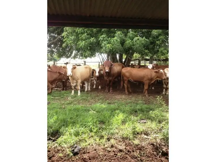 Second view of Homely rural property listing, Lot 2, 66 Parallel Road, Wooroolin QLD 4608
