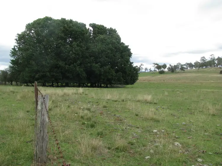 Third view of Homely rural property listing, Lot 2 Burns road, Armidale NSW 2350