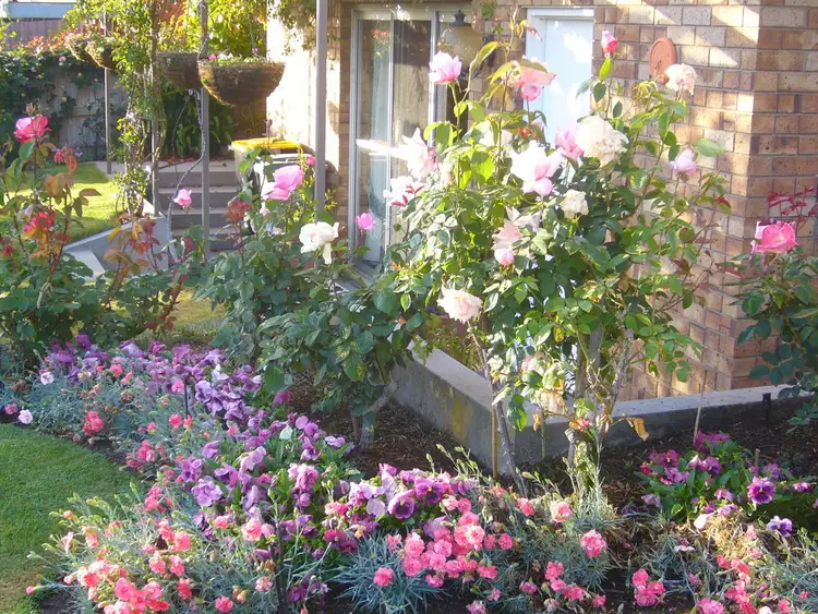 Fifth view of Homely house listing, 17 Old Bridge Rd, Perth TAS 7300