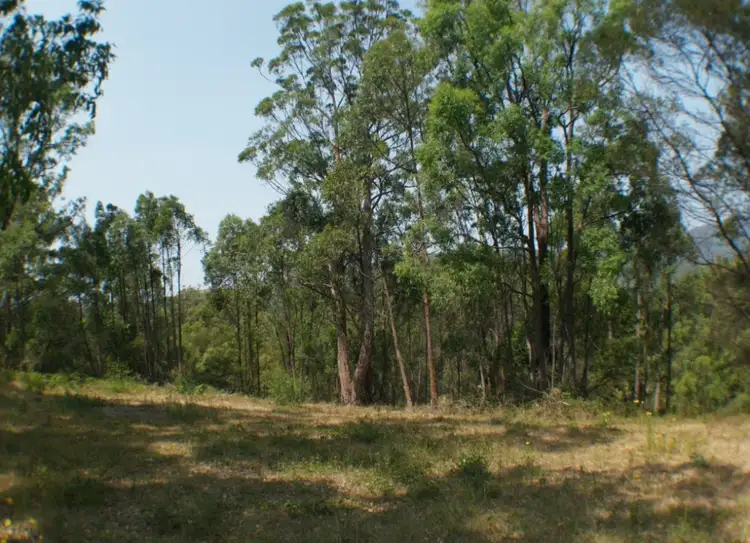 Second view of Homely land listing, 1501 Myrtle Mtn Rd, Candelo NSW 2550