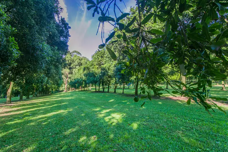 Fifth view of Homely rural property listing, # 4 Repentance Creek Road, Rosebank NSW 2480