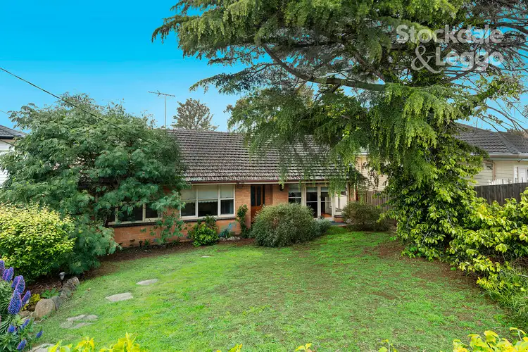 61 Vincent Street, Oak Park VIC 3046