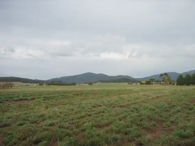 Second view of Homely rural property listing, 403 Preston Road, North Motton TAS 7315