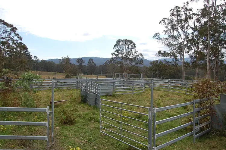 Third view of Homely rural property listing, 16401 Clarence Way, Bean Creek NSW 2469