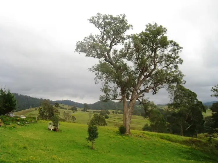 Third view of Homely rural property listing, 79 Blanchards Rd, Brogo NSW 2550