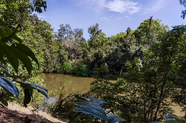 Seventh view of Homely house listing, 73 Bristol Arms Road, Ramornie NSW 2460