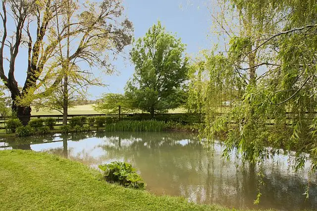 Third view of Homely rural property listing, 105 Sallys Corner Road, Exeter NSW 2579