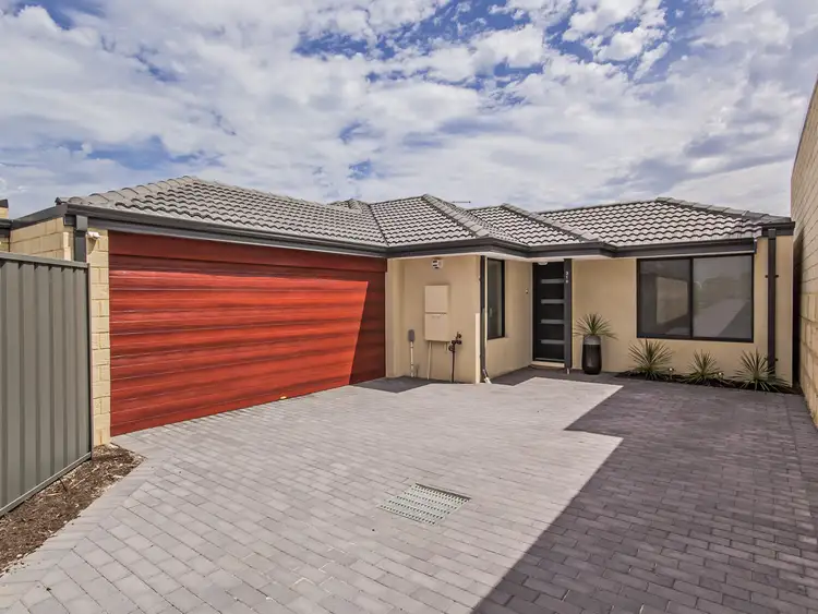 31B Coppito Circle, Beeliar WA 6164