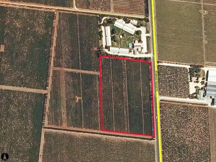 Second view of Homely rural property listing, Lot 200 Riddoch Highway, Coonawarra SA 5263