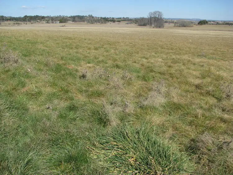 Seventh view of Homely rural property listing, Address available on request