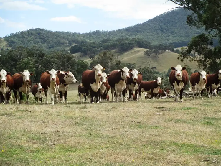 Second view of Homely rural property listing, Part - 191 Jamieson - Licola Road, Jamieson VIC 3723