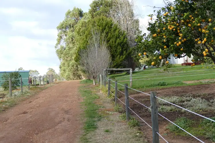 Seventh view of Homely rural property listing, 665 Brookhampton Road, Thomson Brook WA 6239
