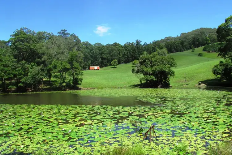 Fourth view of Homely rural property listing, Boggy Creek Road, Valla NSW 2448