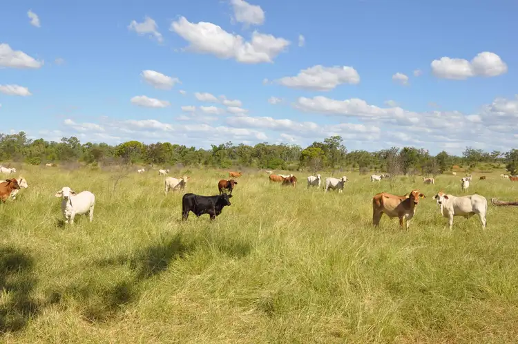 Third view of Homely rural property listing, Address available on request