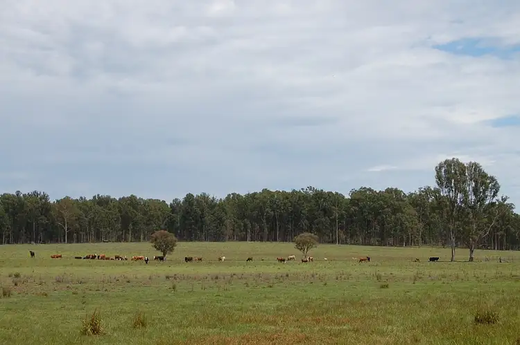 Main view of Homely rural property listing, Lots 1, 87, 96 & 101 Wyan Road, WYAN via, Casino NSW 2470
