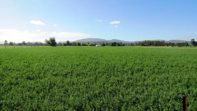 Main view of Homely rural property listing, "Roundwood" 62 Blairmore Lane, Aberdeen, Aberdeen NSW 2336