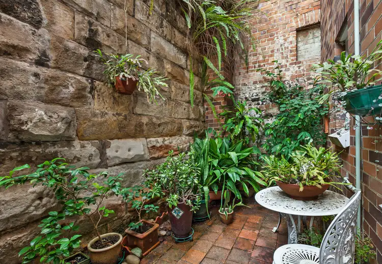 Third view of Homely apartment listing, 5/364 Moore Park Road, Paddington NSW 2021