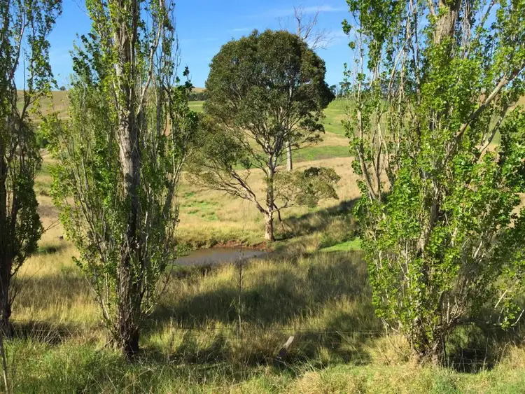 Third view of Homely land listing, Lot 11 Myrtle Mtn Rd, Candelo NSW 2550
