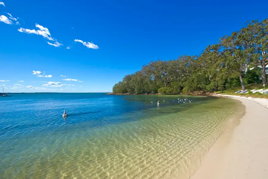 Main view of Homely land listing, 3 Randall Drive, Salamander Bay NSW 2317