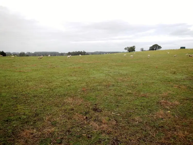 Second view of Homely land listing, 952 Richardson Rd, Northcliffe WA 6262