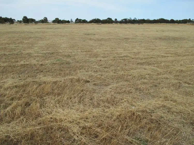 Second view of Homely land listing, Lot 31 Big Olive Grove, Tailem Bend SA 5260