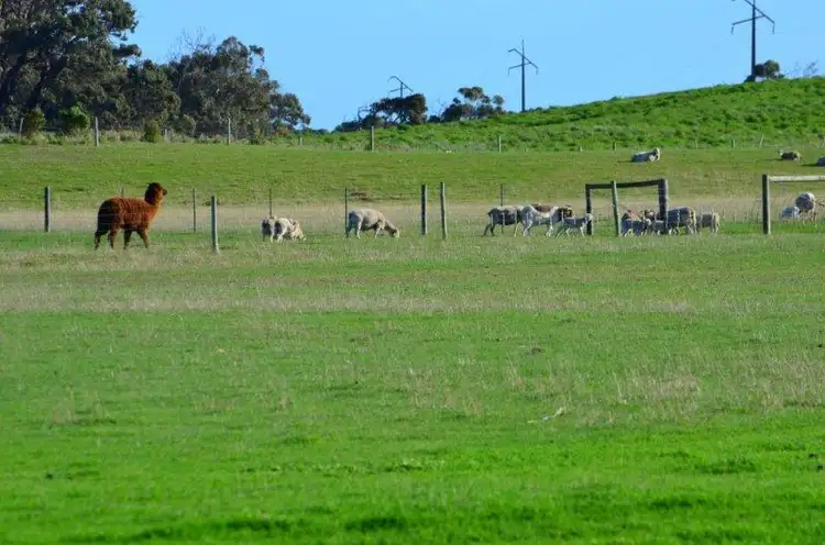 Third view of Homely rural property listing, 4454 Southern Ports Highway, Robe SA 5276
