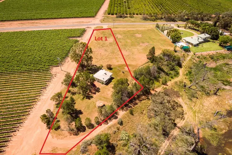 Second view of Homely rural property listing, Lot 1 464B River Road, Coomealla NSW 2717