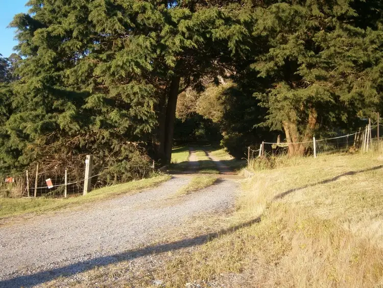 Fourth view of Homely rural property listing, 28 Diprose Road, Sheffield TAS 7306