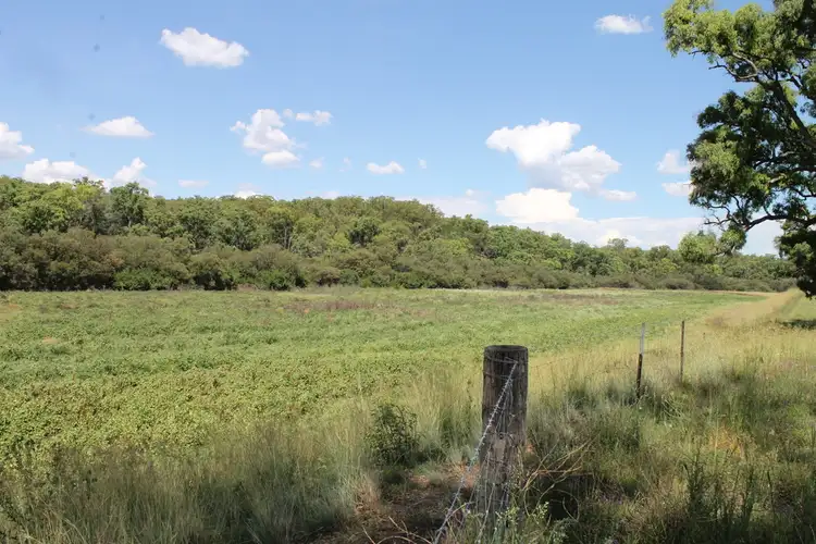 Third view of Homely rural property listing, 183 Twin Creek Road, Warialda NSW 2402