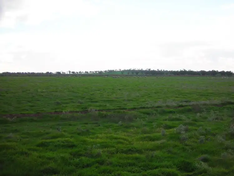 Main view of Homely rural property listing, 1307 Kooba Road, Whitton NSW 2705