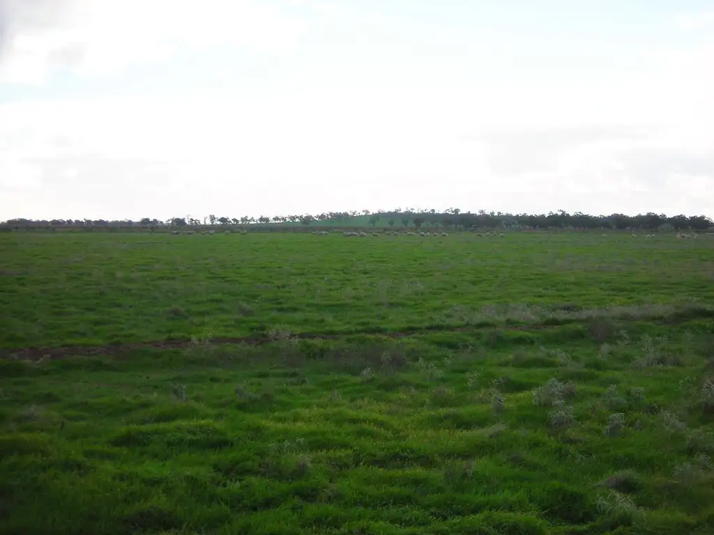 Main view of Homely rural property listing, 1307 Kooba Road, Whitton NSW 2705