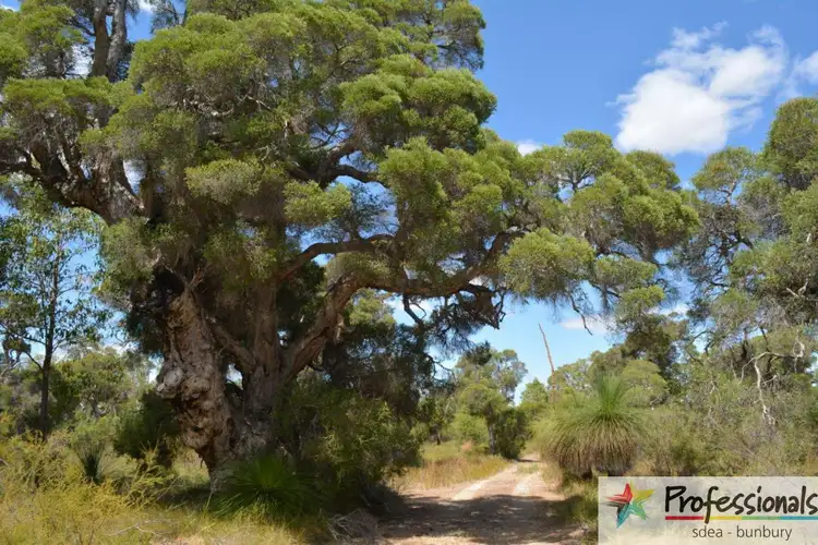 Fourth view of Homely rural property listing, 933 Riverdale, Cookernup WA 6220