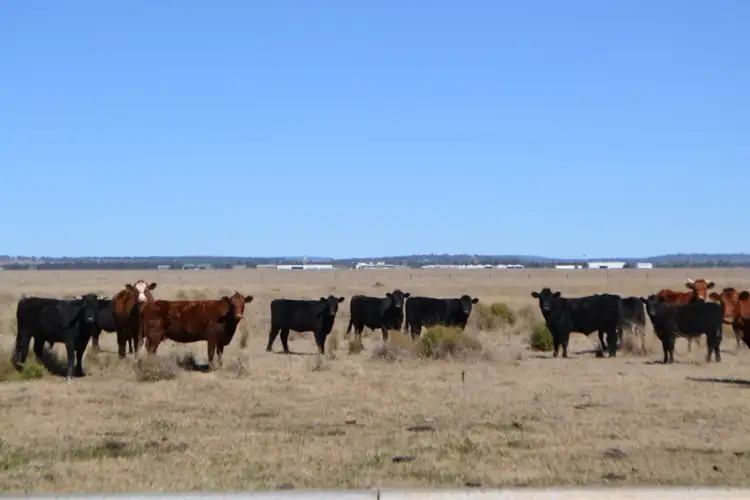 Main view of Homely rural property listing, 0 Oakey-Cooyar Road, Kelvinhaugh QLD 4401