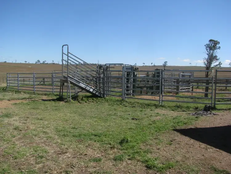 Seventh view of Homely rural property listing, 380 Elliots road, Armidale NSW 2350