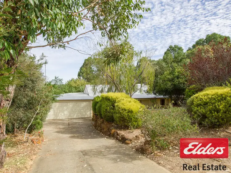Main view of Homely house listing, 13 PALMER STREET, Donnybrook WA 6239